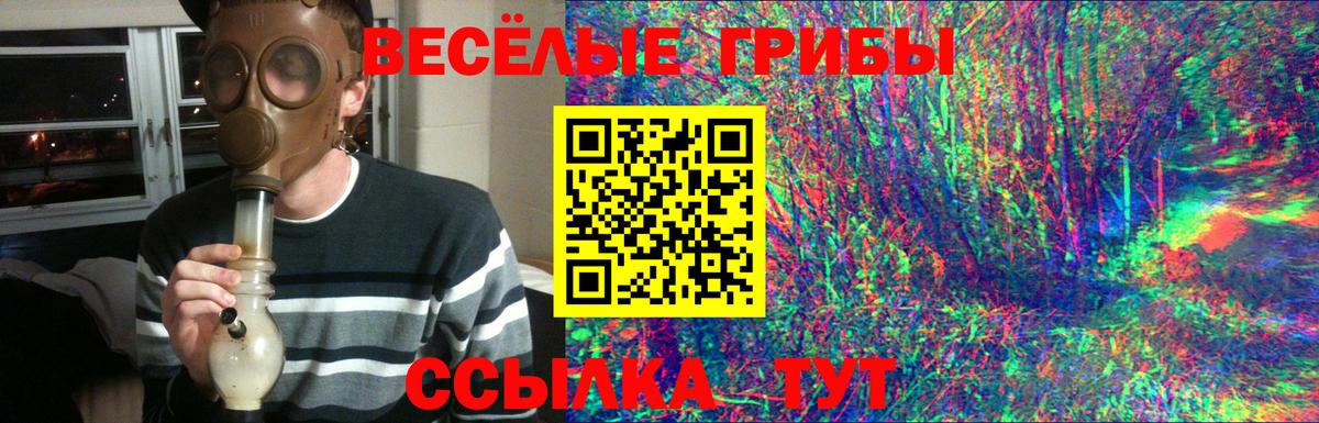Галлюциногенные грибы прущие грибы Холмск