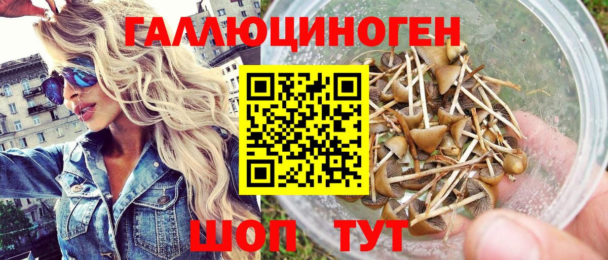 Холмск  Псилоцибиновые грибы ЛСД  Вход с VPN 